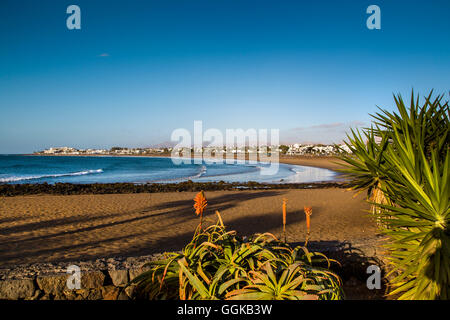 Strand von Playa de Los Pocillos, Puerto del Carmen, Lanzarote, Kanarische Inseln, Spanien Stockfoto