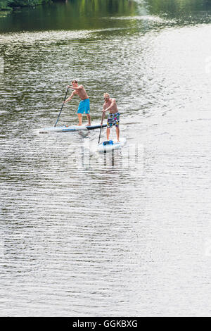 Männer aufstehen Paddeln auf der Alster, Hamburg, Deutschland Stockfoto