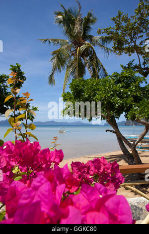 Strand in El Nido in der Inselgruppe Bacuit, Palawan Island, South China Sea, Philippinen, Asien Stockfoto