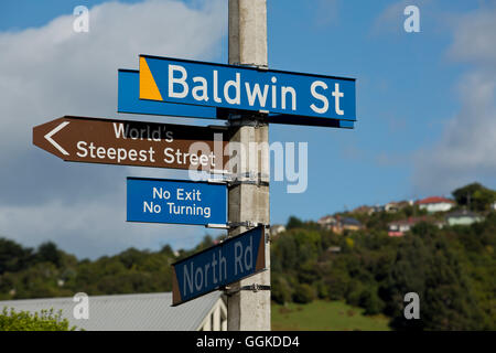 Baldwin Street ist die steilste Straße der Welt, Dunedin, Otago, Südinsel, Neuseeland Stockfoto