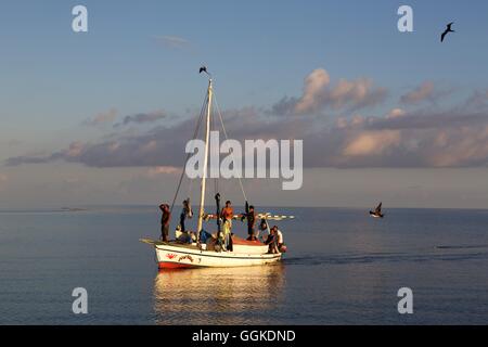 Angelboot/Fischerboot mit Fregattvögeln, Fregata bei Sonnenuntergang, Belize, Mittelamerika Stockfoto