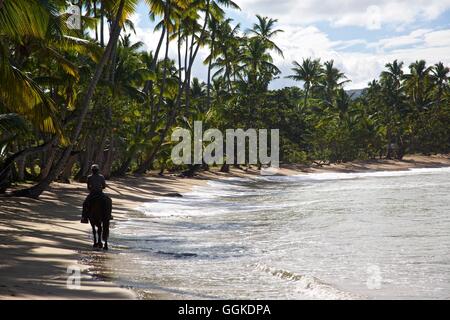 Horserider am Strand von Las Terrenas auf der Halbinsel Samana, Dominikanische Republik Stockfoto