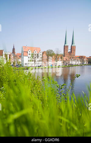 Blick über den Fluss Trave, Altstadt mit Dom Lübeck, Lübeck, Schleswig-Holstein, Deutschland Stockfoto