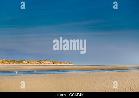 Strand und Dünen, Insel Amrum, Nordfriesischen Inseln, Schleswig-Holstein, Deutschland Stockfoto