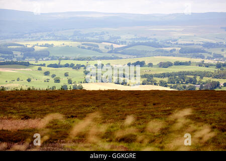 Yorkshire Landschaft Gargrave in der Nähe von Skipton Landschaft Felder Ackerland Weiden lange Rasen Wälder Bäume Hügeln Wälder Crofts Ansicht Stockfoto