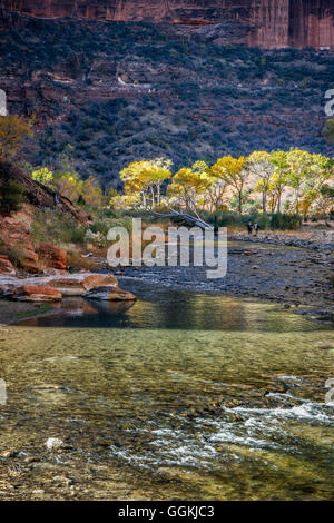 Fotografen zu Fuß entlang des Virgin River Stockfoto