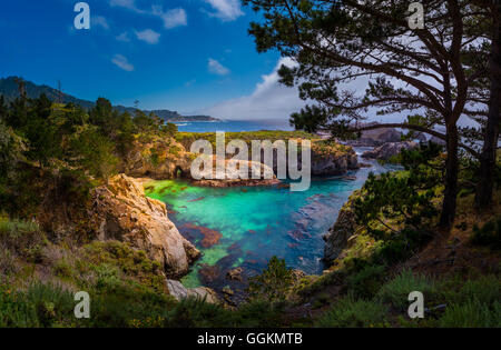 China Beach Point Lobos California State Reserve Stockfoto