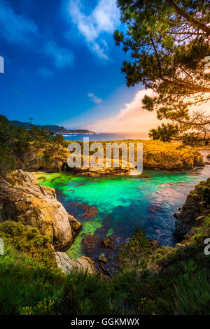 China Beach Point Lobos California State Reserve Stockfoto