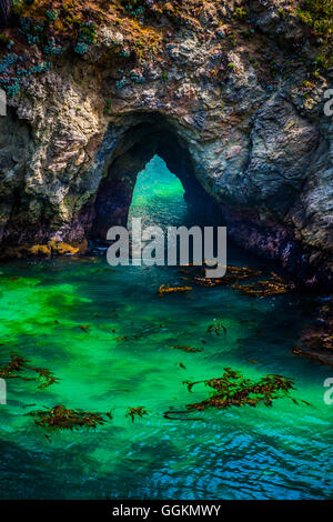 China Beach Point Lobos California State Reserve Stockfoto