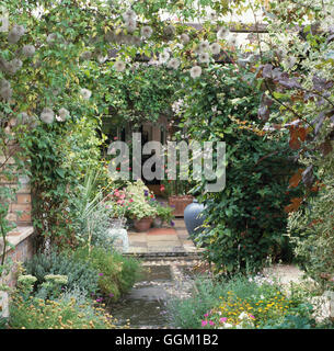 Pergola - mit Clematis und Vitis (bitte Kredit: Fotos Hort/Sender Hse Cambridge) PEG099079 Stockfoto