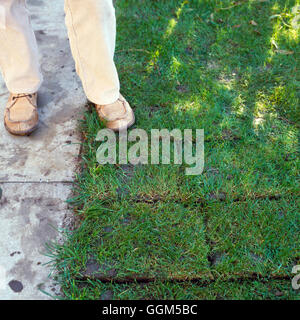 Rasenpflege: - Verlegung von Kunstrasen TAS026785 Stockfoto