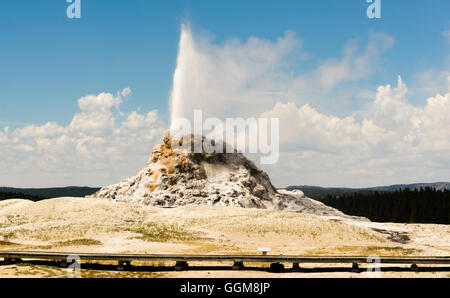 Weiße Kuppel Geysir, Yellowstone-Nationalpark geothermische Aktivität ausbricht Stockfoto