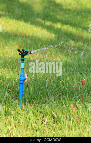 Springer arbeitet und Wasser für grünen Rasen in öffentlichen Garten verteilt haben. Stockfoto