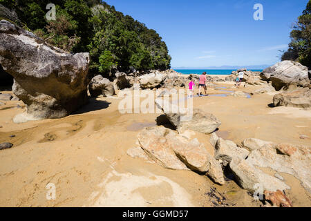 Ebbe auf Adele Island, Abel Tasman Nationalpark, Südinsel, Neuseeland Stockfoto