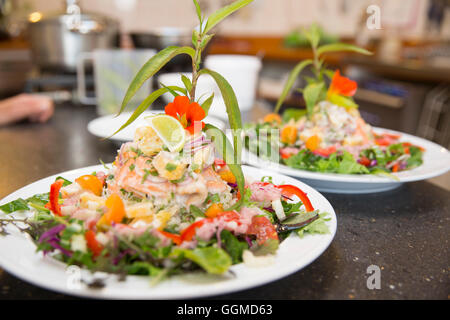 Vera und Reto Balzer Vorbereitung Anatoki Lachs, Sans Souci Inn, Pohara, Golden Bay, Südinsel, Neuseeland Stockfoto