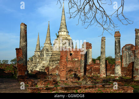 Wat Phra Sri Sanphet, alten Königspalast in der antiken Stadt von Ayutthaya, Thailand Stockfoto