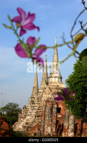 Wat Phra Sri Sanphet, alten Königspalast in der antiken Stadt von Ayutthaya, Thailand Stockfoto