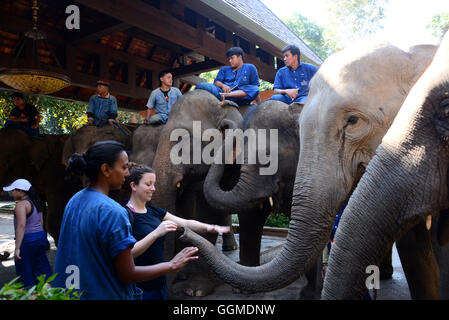 Elefantencamp und Resort, Hotel Anantara im Goldenen Dreieck in der Nähe von Sop Ruak, Nord-Thailand, Thailand Stockfoto