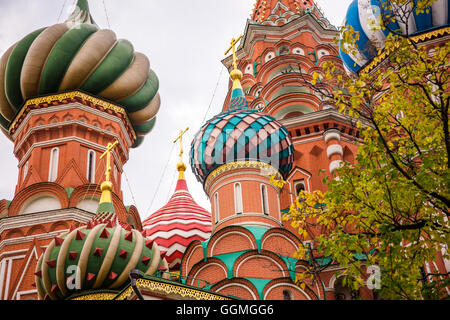 Nahaufnahme von Kuppeln der Basilius Kathedrale mit Baum im Vordergrund in Moskau, Russland Stockfoto