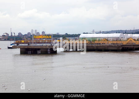 30. Juli 2016 - links Farmopolis an der Anlegestelle in Greenwich Peninsula Anzeigen über Blumen und Pflanzen von Chelsea Flower Show Stockfoto