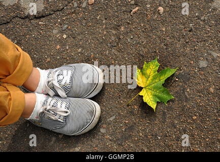 Frau die Füße in Turnschuhen auf dem Asphalt und ein buntes Ahornblatt Stockfoto