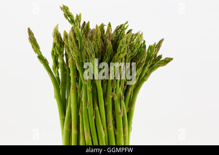 Frischer Spargel Stiele in aufrechter Position vor weißem Hintergrund. Horizontales Bild mit textfreiraum auf rechten Seite. Stockfoto
