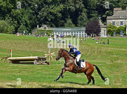 Gatcombe Park, Gloucestershire, UK. 6. August 2016. Bild: British Festival Eventing Gatcombe Park Gloucestershire. Zara Tindall Reiten High Königreich im Abschnitt "erweitert" des Cross Country. Datum 08.06.2016 Ref: Credit: Charlie Bryan/Alamy Live News Stockfoto