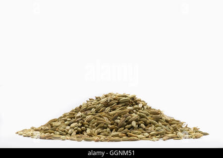 Haufen von Gewürz-Samen Stockfoto