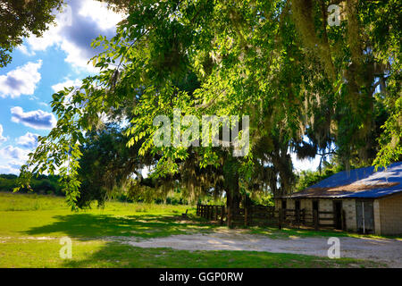 Eine Scheune auf dem La Chua Trail im PAYNES PRAIRIE PRESERVE STATE PARK - GAINESVILLE, FLORIDA Stockfoto