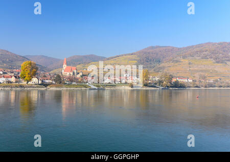 Weißenkirchen in der Wachau: Kirche Maria Himmelfahrt in Weißenkirchen, Weinberge auf der Donau, Österreich, Niederösterreich, Lowe Stockfoto