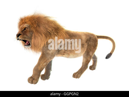 3D-Rendering eines männlichen Löwen isoliert auf weißem Hintergrund Stockfoto