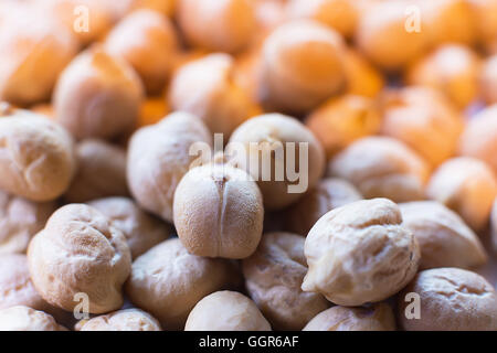Kichererbsen hautnah. Haufen von organischen ungekochte Kichererbsen. Gold Kichererbsen Hintergrund. Gesunde vegane Lebensmittel Hummus mit Kichererbsen. Stockfoto
