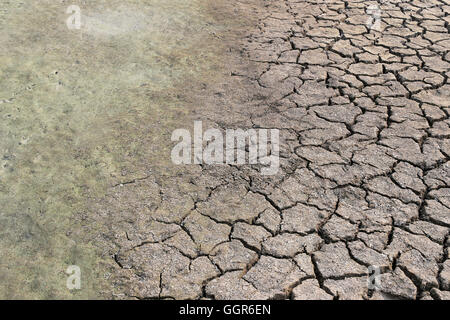 rissige Erde und Lehmboden mit Wasser nur wegen der Hitze, Landschaft Thailands vertrocknen. Stockfoto