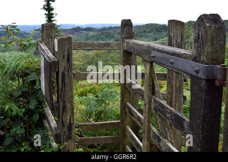 Des Teufels Punchbowl in Hindhead, England, an der Grenze von Surrey und Hampshire. National Trust-Site und Foto von Gerstenkorn Stockfoto