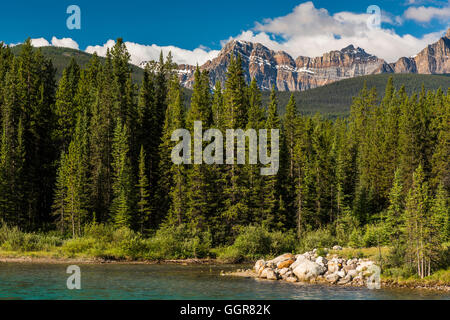 Bow River, Banff Nationalpark, Alberta, Kanada Stockfoto