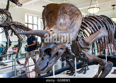 NEW YORK, USA – 31. Juli 2016: Detail vom American Museum of Natural History in New York. Museum ist im Jahr 1869 gegründet und Tod Stockfoto