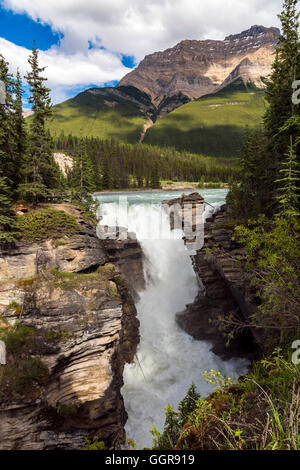 Athabasca Falls, Jasper Nationalpark, Alberta, Kanada Stockfoto