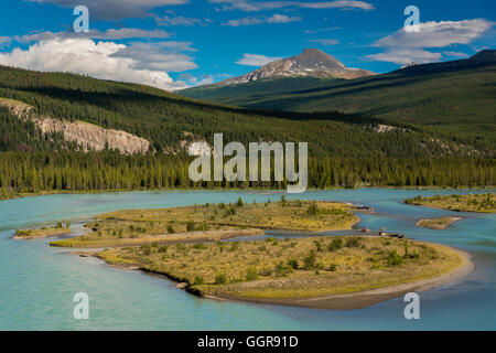 Athabasca River, Jasper Nationalpark, Alberta, Kanada Stockfoto