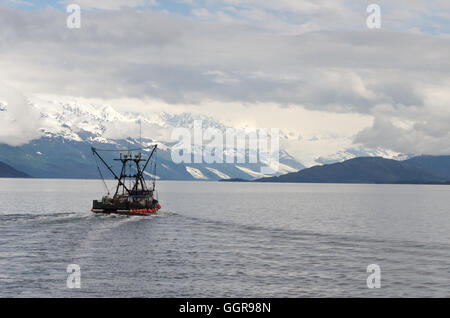 Juni ist Lachsfischen Saison.  Das Wasser des Prinz Williams Sound spielen Gastgeber für viele kommerzielle Lachs Angelboote/Fischerboote. Stockfoto