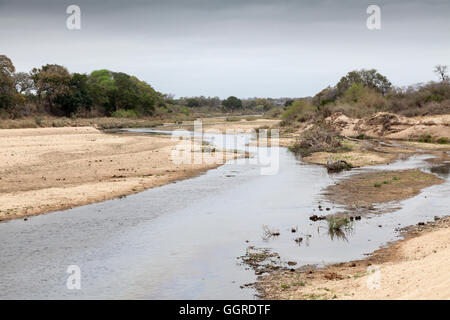 Sand River, Exeter Private Game Reserve, Sabi Sands, Südafrika Stockfoto