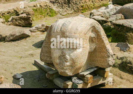 Ägypten, Kairo, Heliopolis, Ausgrabungen des Tempels Ramses II in der Souk al Khamis-Zone. Kopf eines Königs, tragen die Nemes. Stockfoto