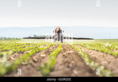 Traktor Sprühen von Pestiziden auf Soja-Bohne Stockfoto