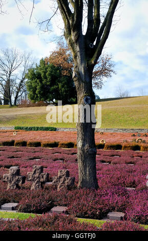 WWII deutscher Soldatenfriedhof Costermano. Costermano ist ein italienischer Ort in der Nähe von Garda See. Der Friedhof enthält 21,930 Gräber deutscher Soldaten während des zweiten Weltkriegs in Norditalien gefallen. Es liegt auf einem Hügel mit Heidekraut bedeckt, wo man den See sehen kann. Stockfoto