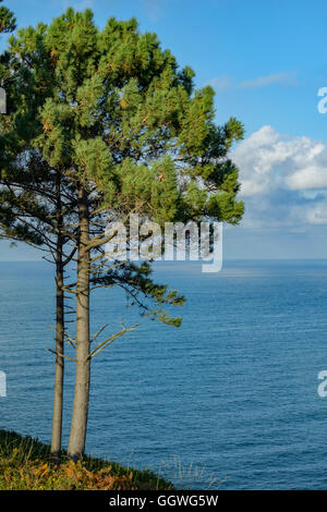 Panoramablick über den Strand San Julian, Liendo, Kantabrien, Spanien, Europa Stockfoto