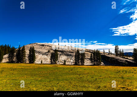 Schlagloch Dome in Tuolumne Meadows in Yosemite Nationalpark, Kalifornien USA Stockfoto