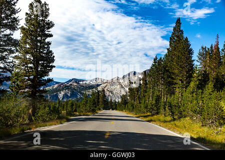 Autobahn 120 im Yosemite National Park Stockfoto