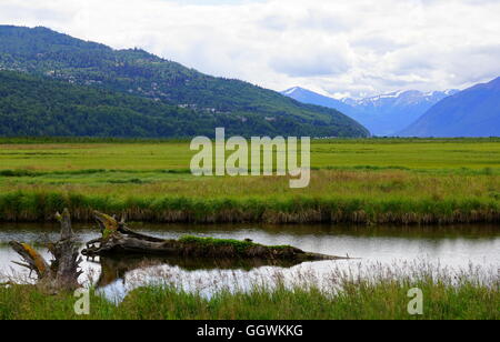 Slough bei Potter Marsh Tierbeobachtungen Boardwalk in Anchorage, Alaska Stockfoto