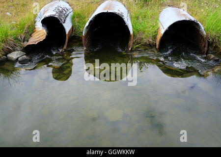 Slough bei Potter Marsh Tierbeobachtungen Boardwalk in Anchorage, Alaska Stockfoto