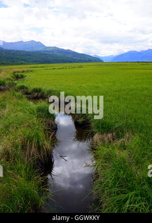 Slough bei Potter Marsh Tierbeobachtungen Boardwalk in Anchorage, Alaska Stockfoto