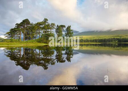 Farbwiedergabe der Caledonian Pinien am Ufer des Loch Tulla mit Blick auf den schwarzen Berg Stockfoto